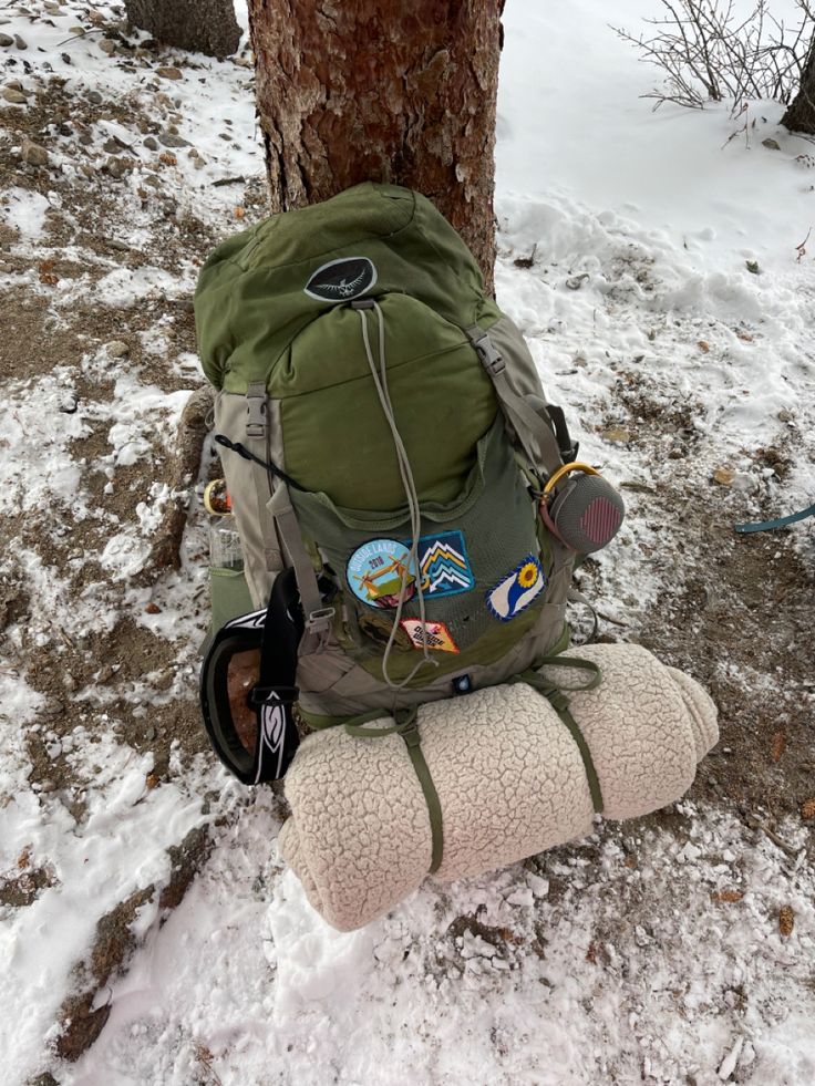 a backpack sitting on top of a pillow in the snow next to a tree with no leaves