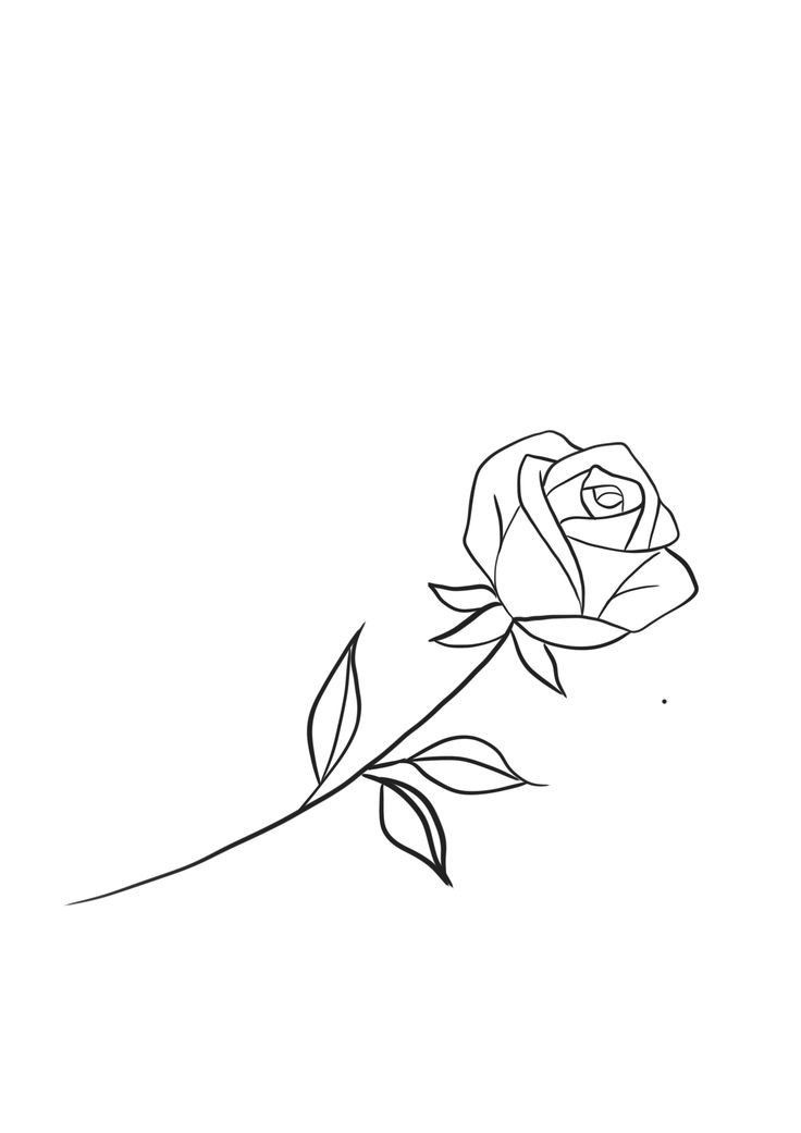 a black and white drawing of a rose