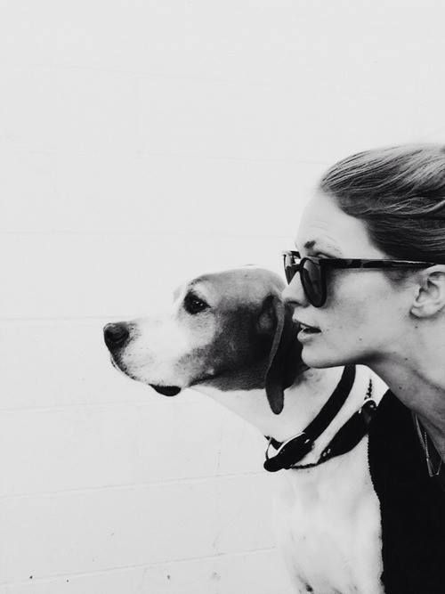 a woman in sunglasses kissing a dog on the nose with her head close to her face