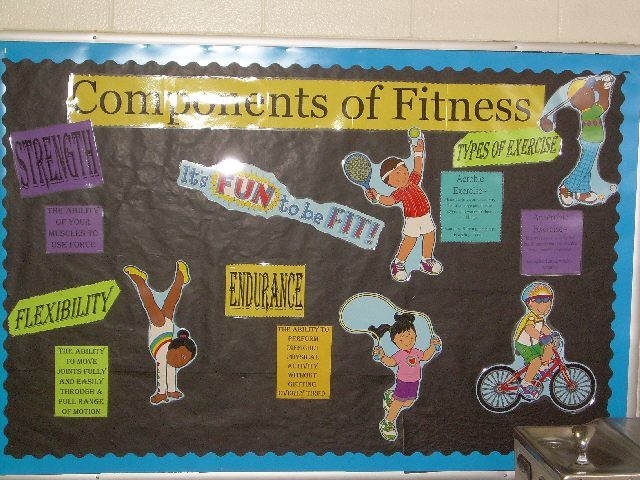 a bulletin board with different types of fitness related items on it, and the words'components of fitness'written in large letters