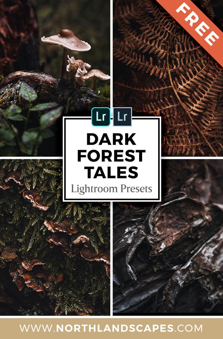 the dark forest tales lightroom presets are available in three different sizes and colors