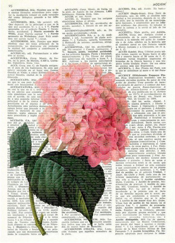 a pink flower with green leaves on an old book page