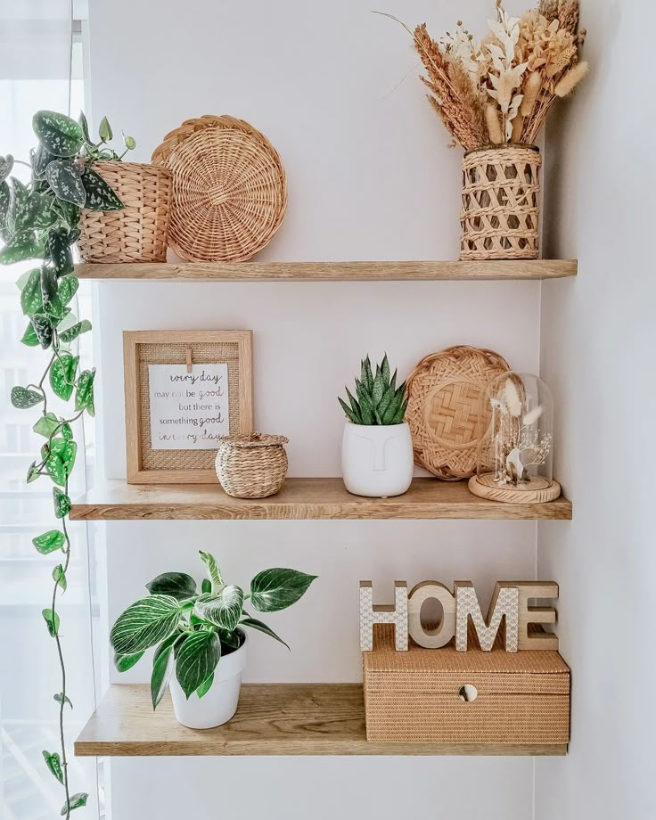 some shelves with plants and pictures on them