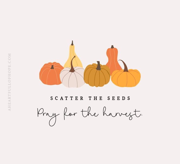 pumpkins and squash with the words, scatter the seeds pray for the harvest