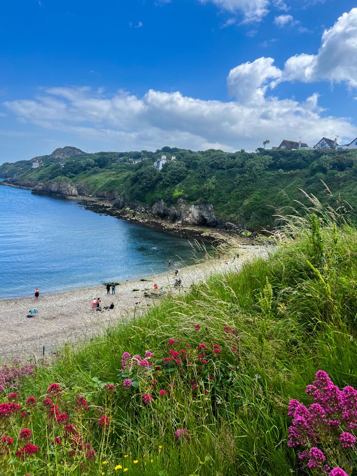 people are on the beach and in the water near some hills, flowers and trees