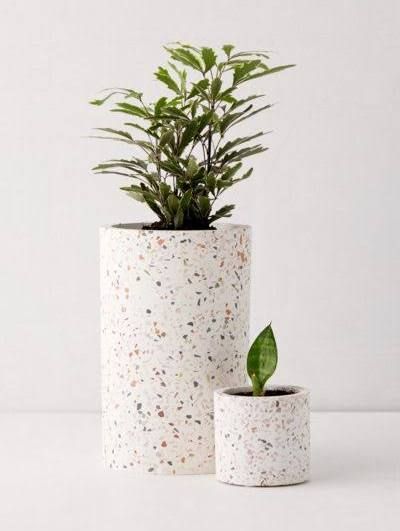 two white planters sitting next to each other on top of a table with plants in them