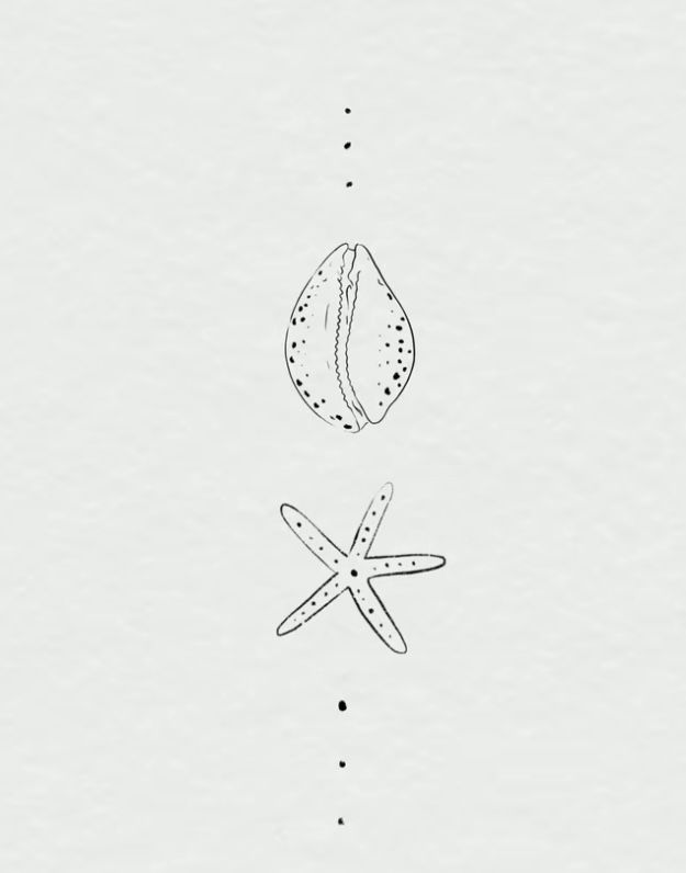 an image of two seashells and starfish on white paper with black dots