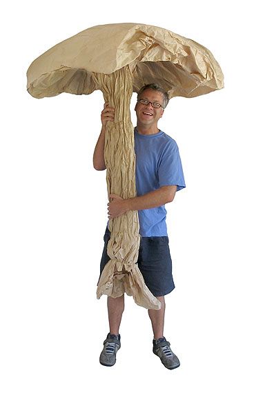 a man holding an umbrella over his head while standing in front of a white background