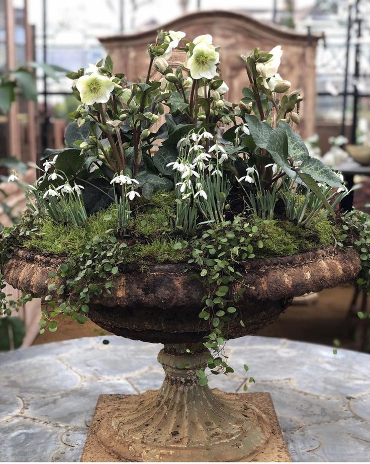 a vase filled with white flowers and greenery on top of a table in a room