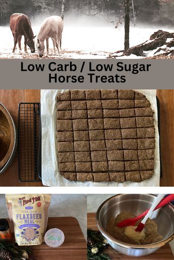 the ingredients for low carb / low sugar horse treats