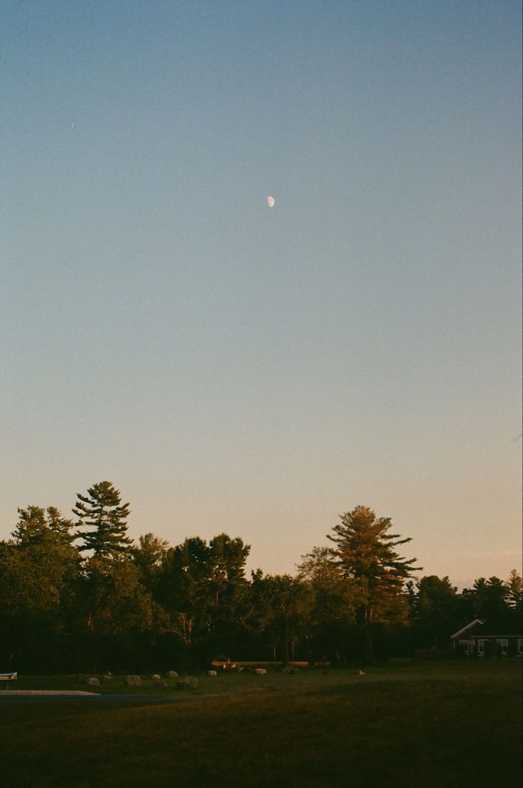 the moon is shining in the sky above some trees and grass on a sunny day