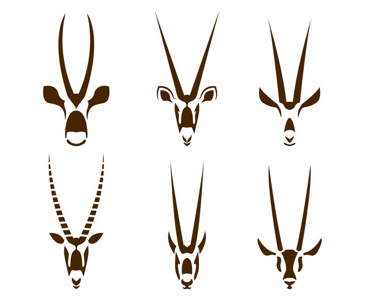 four different types of deer heads with long horns