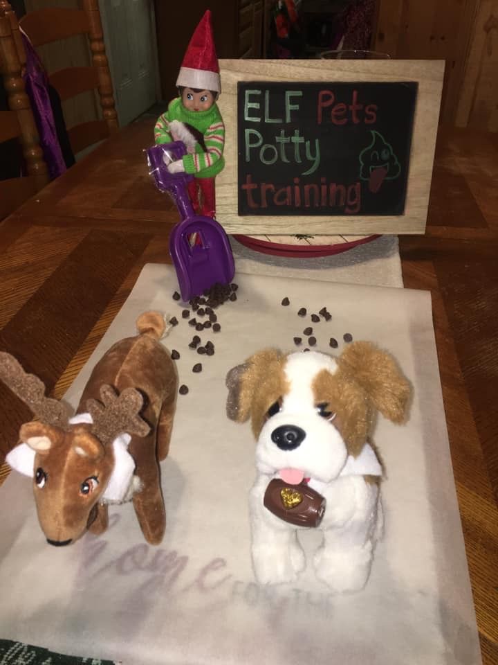 two stuffed dogs sitting on top of a table next to a sign that says elf potty training