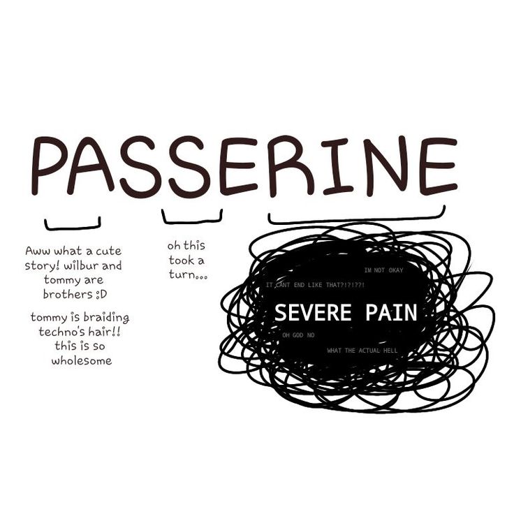 Prime Path Dsmp, Passerine Quotes Sbi, Passerine Quotes, Passerine Sbi, Passerine Fanart, Minimalist Tattoo Ideas, Sleepy Bois, Dream Artwork, Minecraft Fan Art