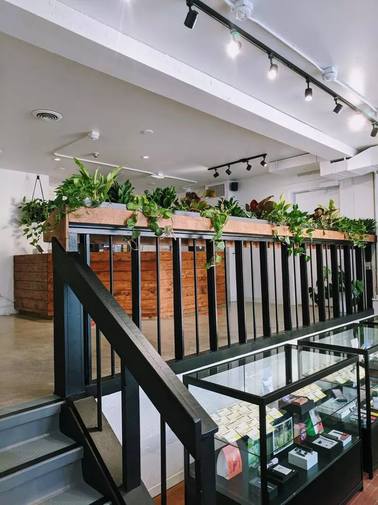 a glass case with plants in it on the side of a stair case next to a set of stairs