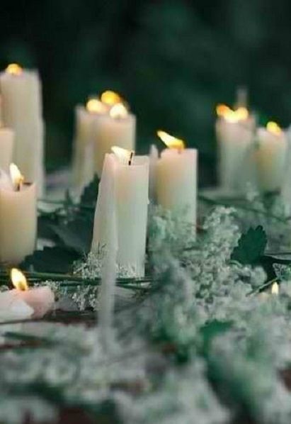 many white candles are lit and surrounded by greenery