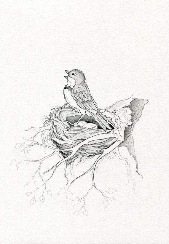 a drawing of a bird sitting on top of a nest