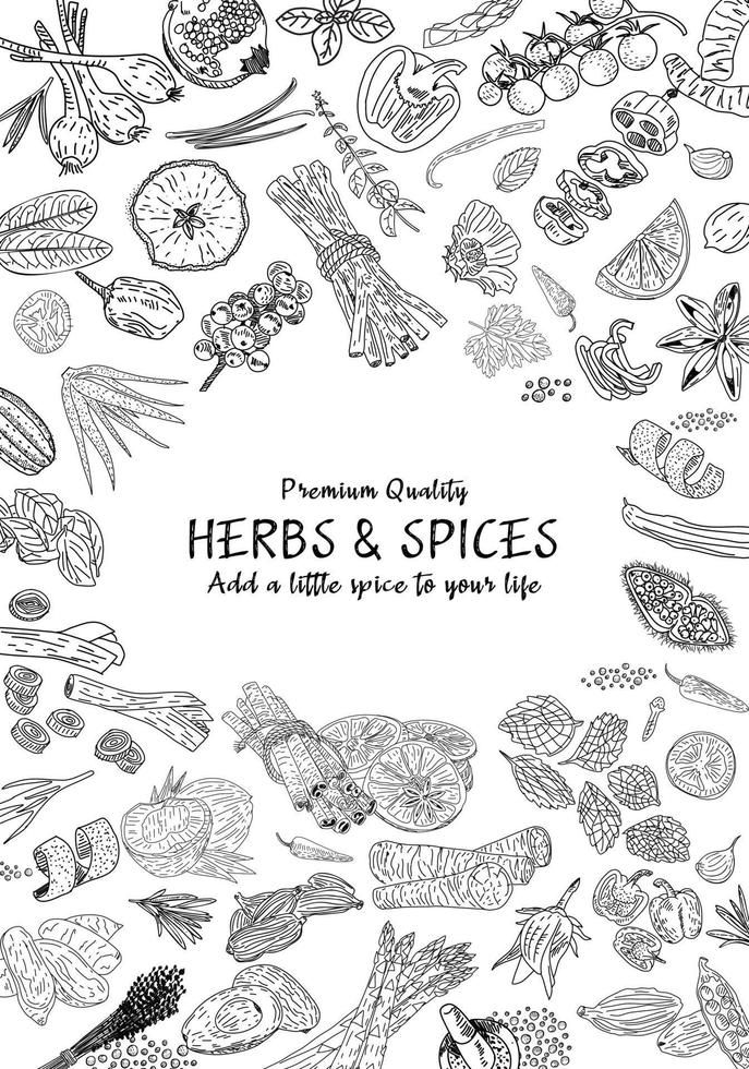 Hand drawn herbs and spices. Vector. Spice Illustration, Spices Illustration, Spices Vector, Tree Pencil Sketch, Herbs Illustration, Sign Writing, Herbs And Spices, Poster Ideas, Logo Banners