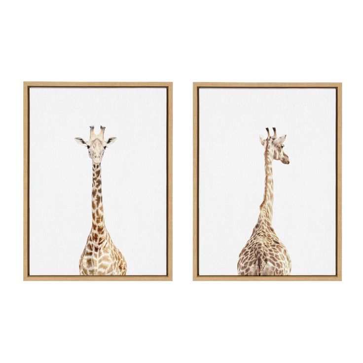 two giraffes standing next to each other in front of a white background