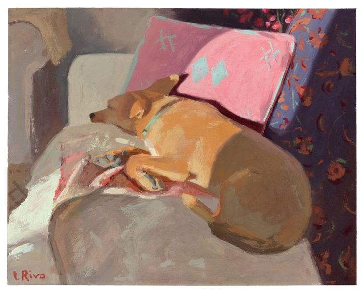 a painting of a dog sleeping on a couch with a pink blanket and pillow behind it