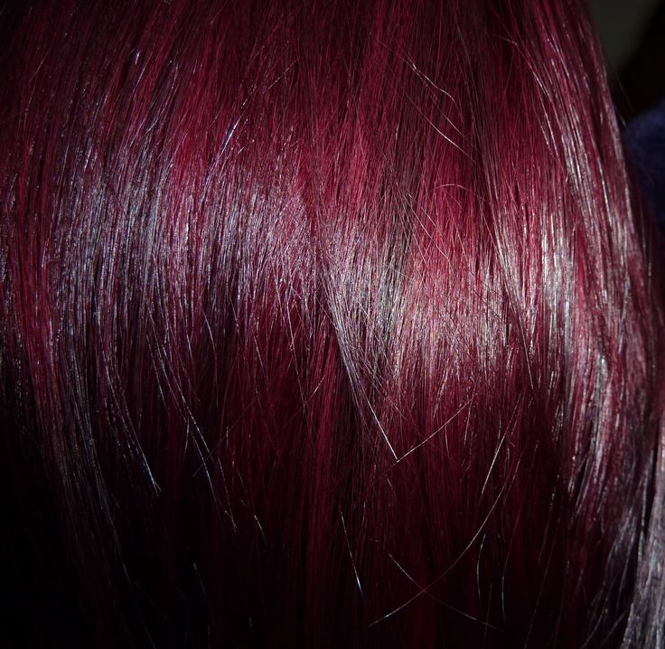 Red Violet Hair Color | The Beauty Scoop!: Holiday Hair Colour Dilemma! Dark Purple Red Hair, Dark Red Purple Hair, Purple And Red Hair, Violet Red Hair, Red And Purple Hair, Purple Red Hair Color, Purple Red Hair, Red Violet Hair Color, Holiday Hair Color