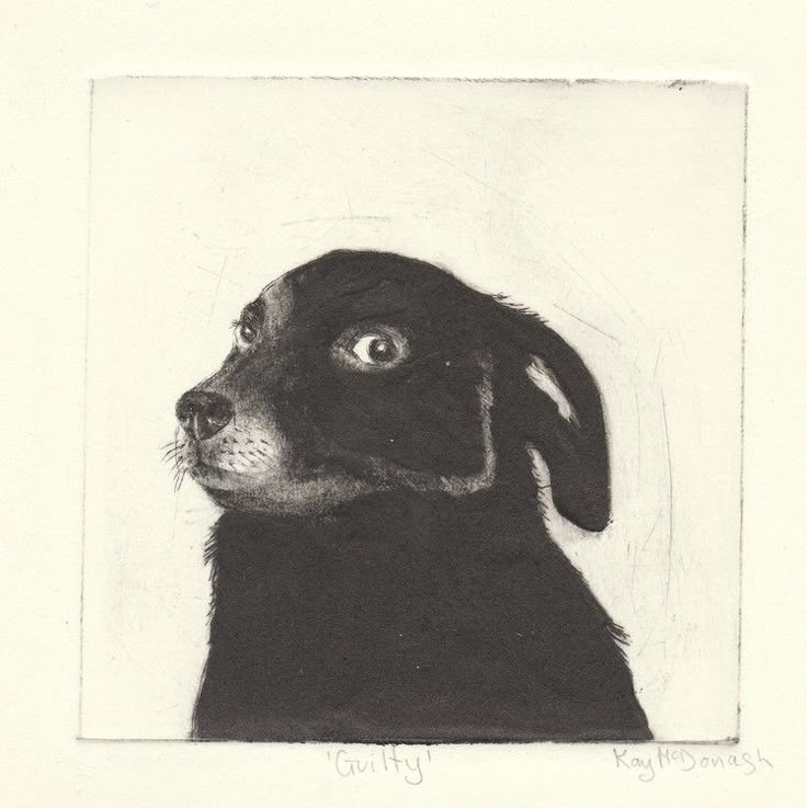 a black and white drawing of a dog's face