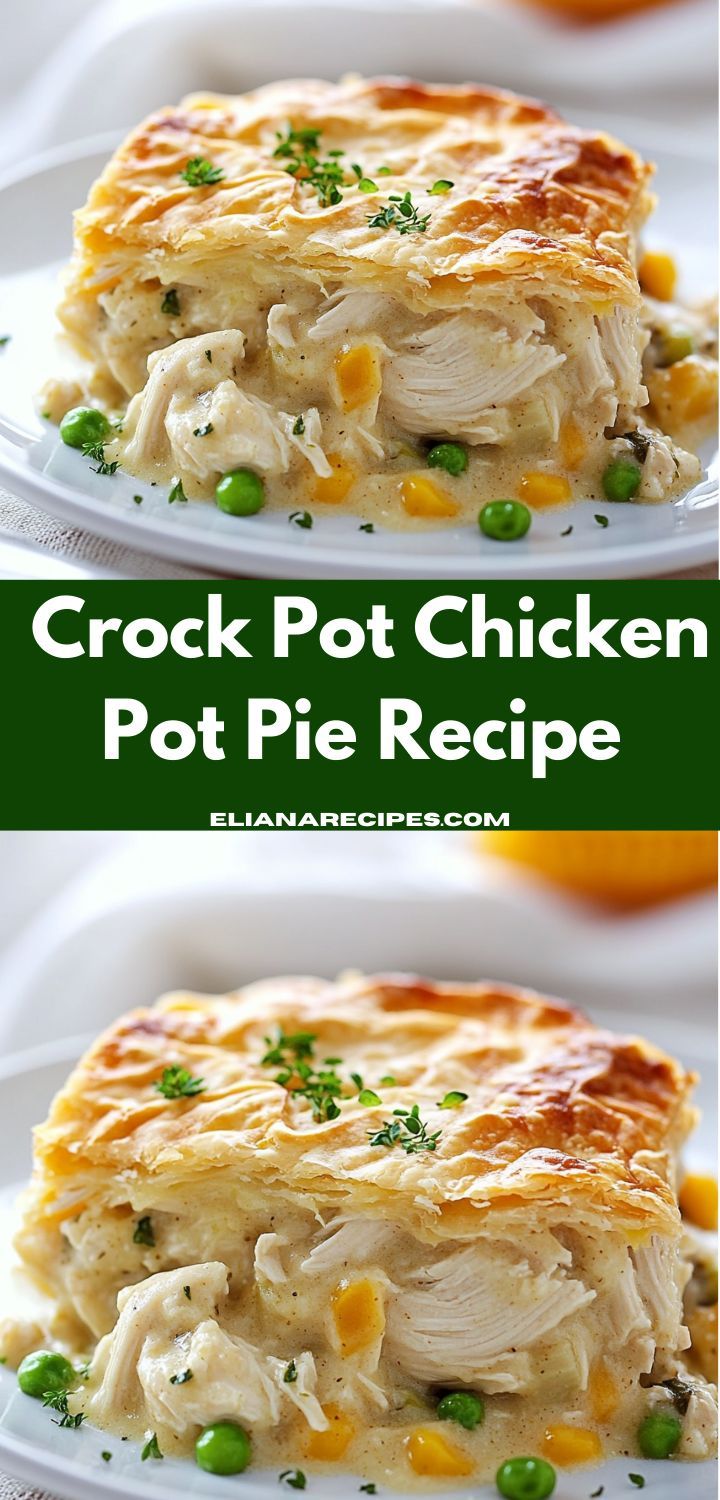 crock pot chicken pot pie recipe on a white plate