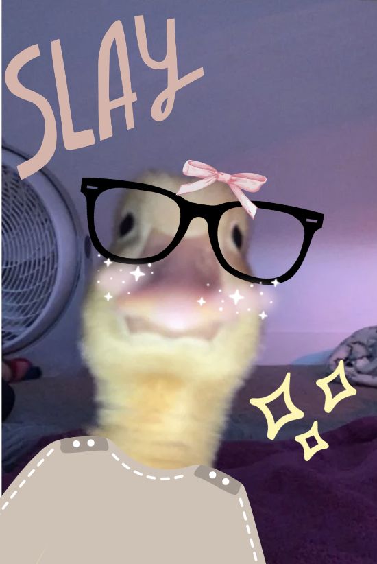 a duck wearing glasses with the words slay on it