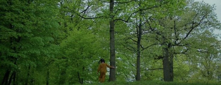 a person standing in the middle of a forest looking at something off to the side