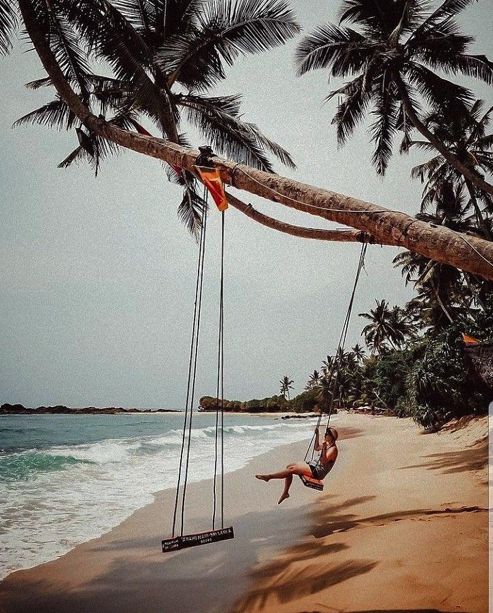 #hikkaduwa #srilanka #iamatraveler #stayandwander #palmbeach #welltravelled #prettywanderings #gltlove #wheretonext #wanderoften #exploretocreate #lovetheworld
#traveldreamseekers #openmyworld #globelletravels #femmetravel #explorerbabes #visitsrilanka #globewanderer #srilankatravel #blondegirl #travelandleisure #travelsolo #travelwithme #pooltime #beachvibes #tropical #srilankatourism Sri Lanka Photoshoot, Sri Lanka Photo Ideas, Hikkaduwa Sri Lanka, Sri Lanka Surf, Sri Lanka Honeymoon, Sri Lanka Photography, Boat Photoshoot, Beach Shelter, Sri Lanka Holidays