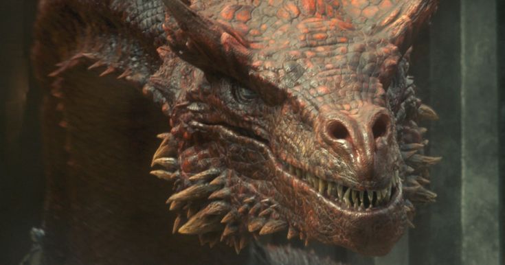 a close up of a dragon with its mouth open