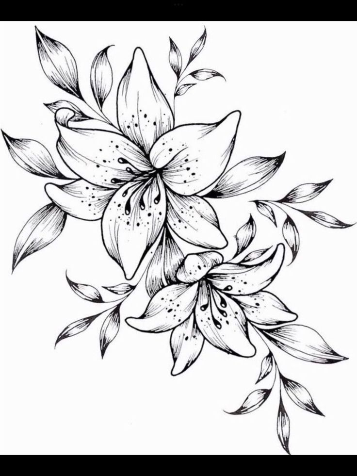 black and white drawing of flowers with leaves on the bottom half of each flower,