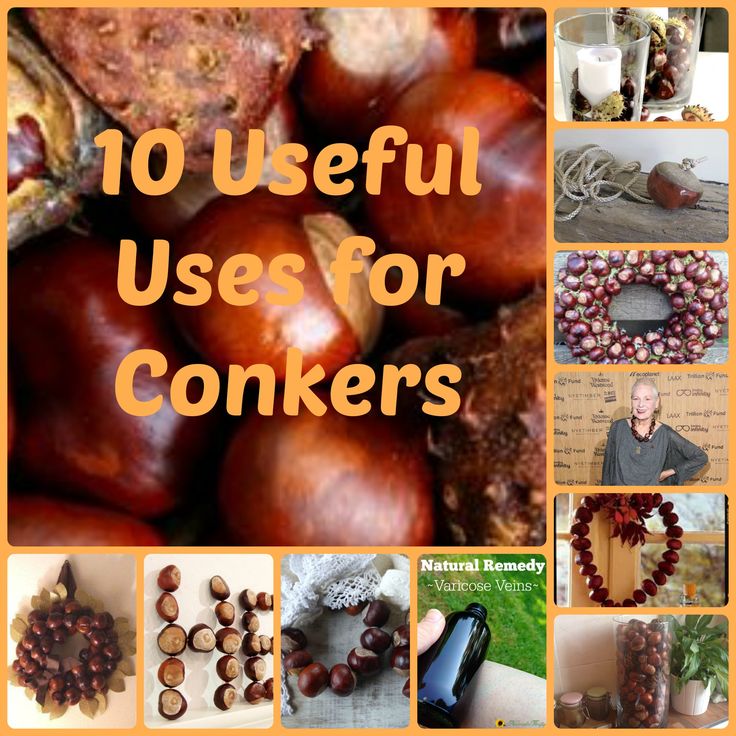 there are many different pictures with the words 10 useful uses for conkers on them