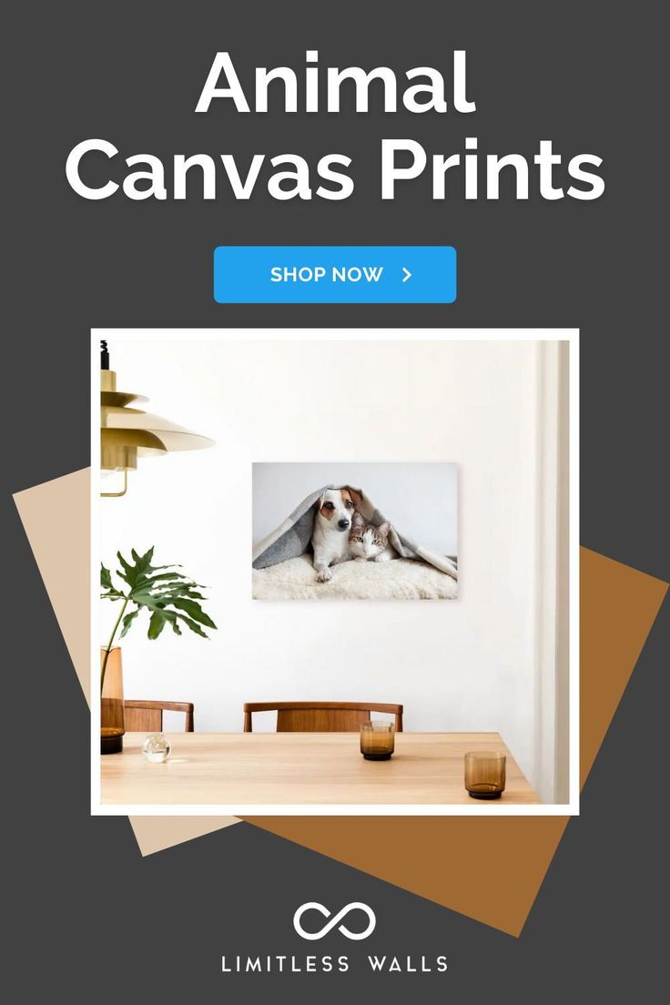 an animal canvas prints shop now