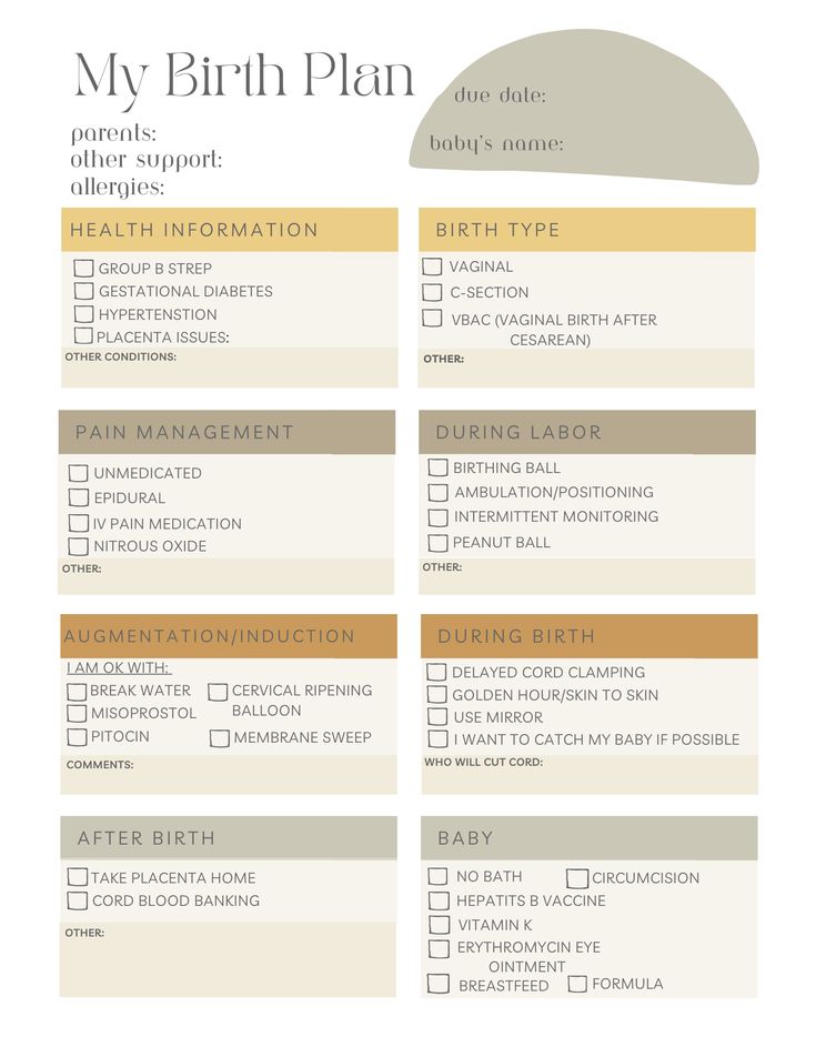 a printable birth plan is shown