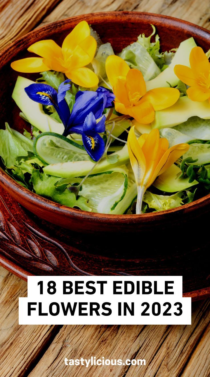 list of edible flowers for cakes | top 10 edible flowers | edible flower garnish | best edible flowers | keto recipes dinner | healthy gut recipes | keto diet recipes | yummy food Edible Flowers For Cakes, Flower Garnish, Edible Flower Garden, Gut Recipes, Healthy Gut Recipes, Edible Flowers Cake, Food Garnish, Edible Flowers Recipes, Best Edibles