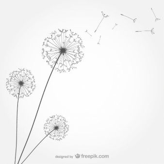 dandelions blowing in the wind on a white background