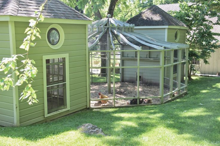 a chicken coop in the middle of a yard next to a tree and some grass