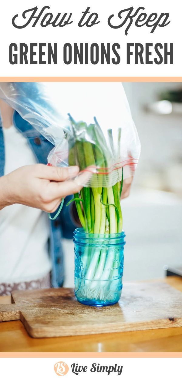 Say goodbye to wilted green onions! Here’s how to store green onions properly to keep them fresh for weeks. Green Onion Storage How To Store, How To Keep Green Onions Fresh In Fridge, How To Keep Cabbage Fresh Longer, How To Dry Green Onions, How To Freeze Green Onions, Green Onions Storing, Storing Green Onions In Fridge, How To Keep Green Onions Fresh, How To Store Green Onions In Fridge