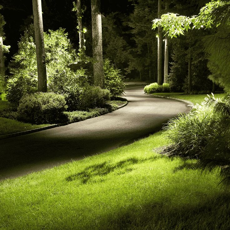 a path in the middle of a lush green park at night