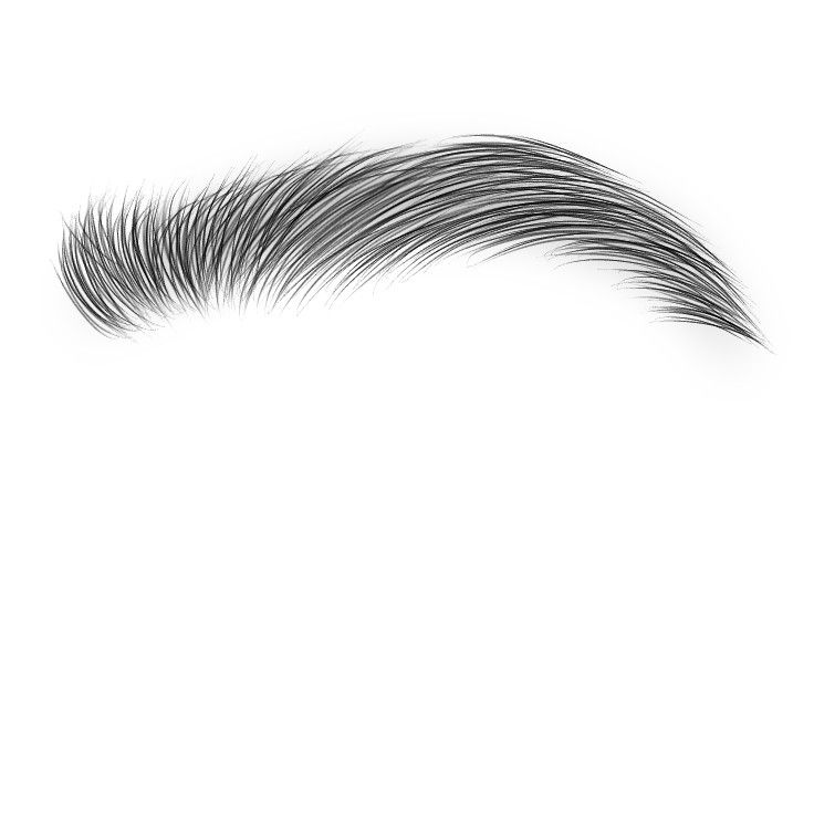 Microblading Eyebrows Logo, Eyebrow Png, Eyebrow Images, Me Cover Instagram Highlight, Bold Eyebrows, Eye Texture, Brow Stylist, Graphic Shapes Design, Guys Eyebrows