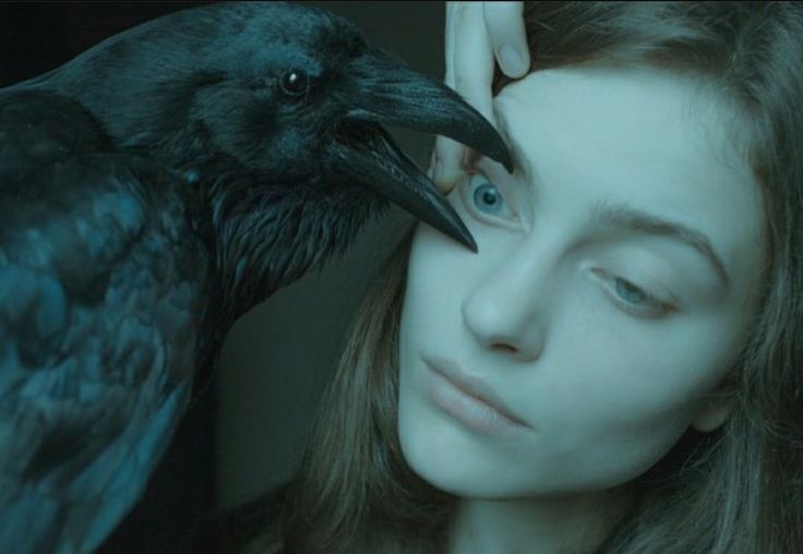 a woman is touching the head of a black bird