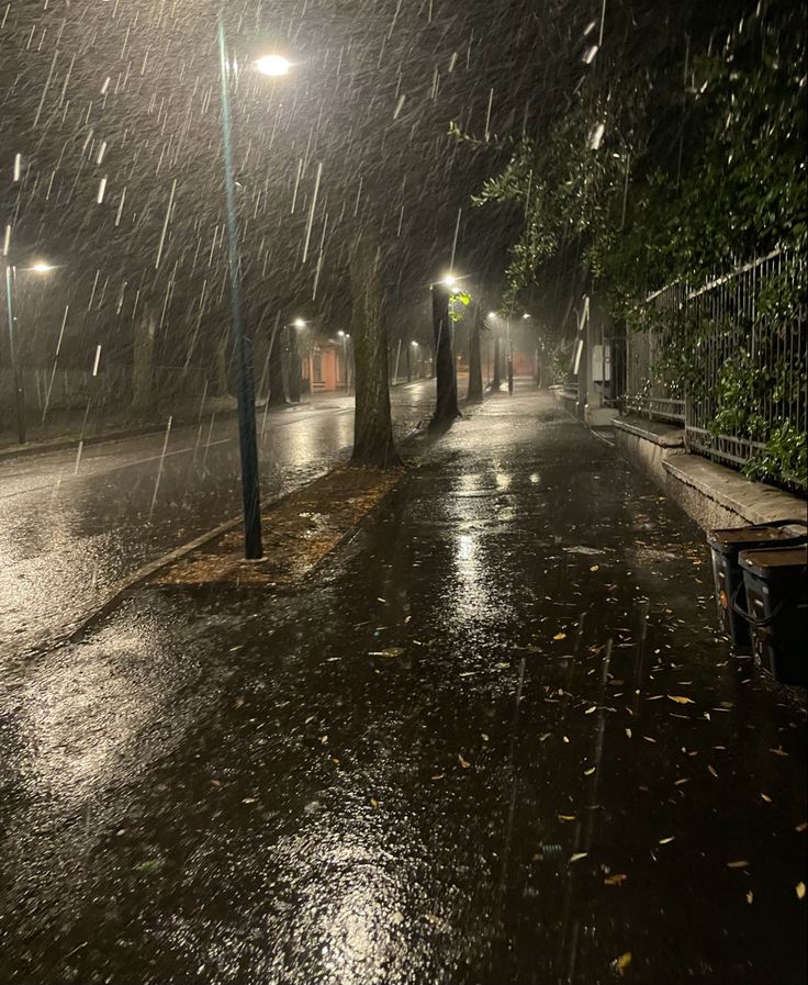 an empty street at night with rain falling on the ground and trees in the background