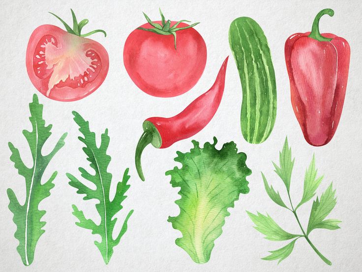 watercolor painting of vegetables including tomatoes, peppers and lettuce