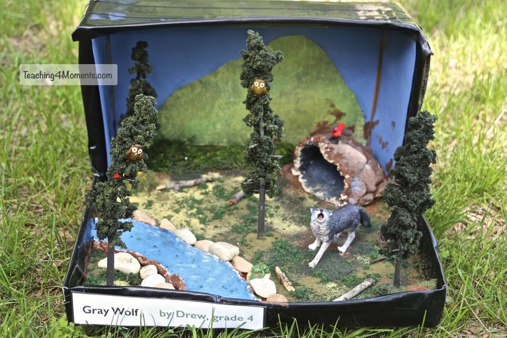 an open box with a miniature scene in it on the grass and trees around it