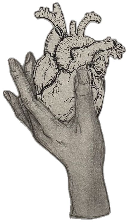 a drawing of a human heart being held in the palm of a person's hand