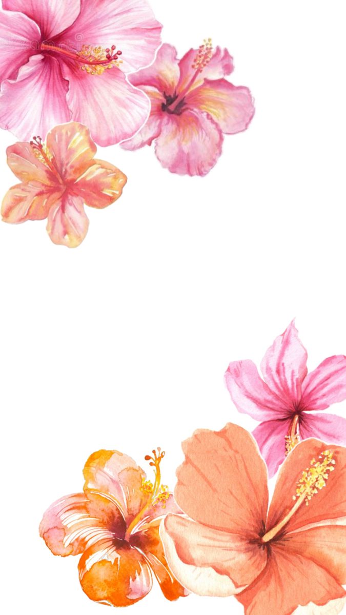 Pink, flowers, iphone wallpaper, widget Desktop Wallpaper Summer, Pink Wallpaper Ipad, Jelly Wallpaper, Wallpaper Iphone Disney Princess, Cute Summer Wallpapers, Pink Wallpaper Girly, Bubbles Wallpaper, Wallpaper Iphone Summer, Flower Collage