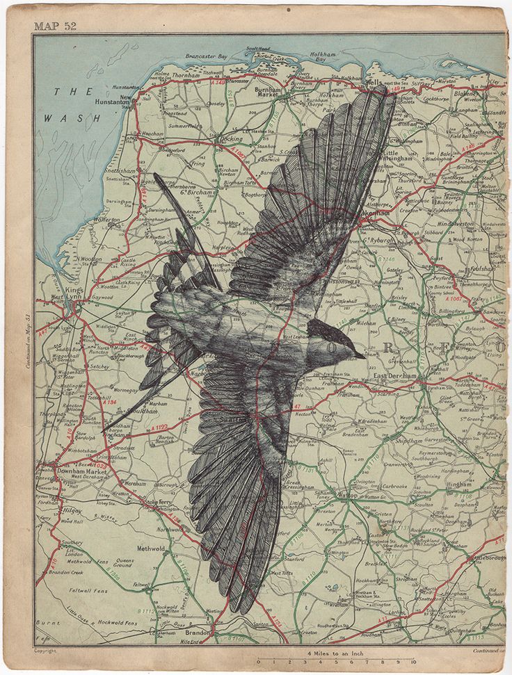 an old map with a bird flying over it