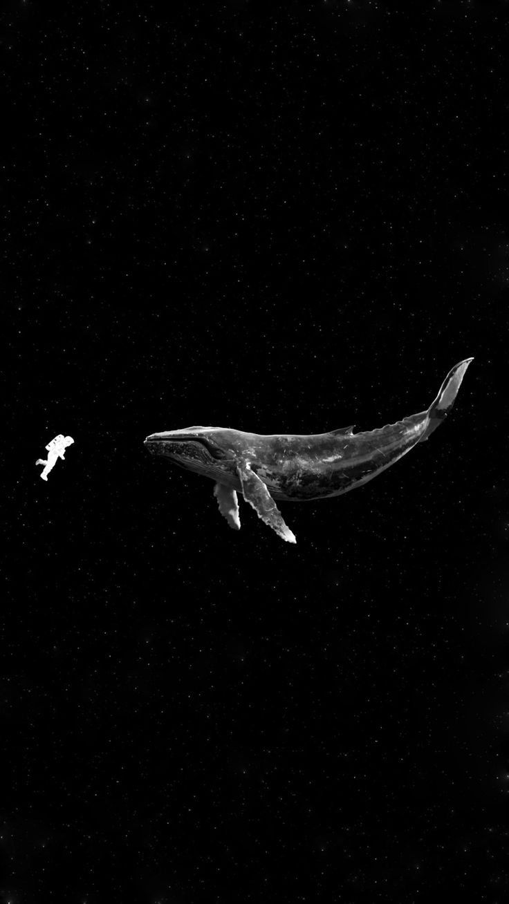 a black and white photo of a humpback whale swimming in the dark water