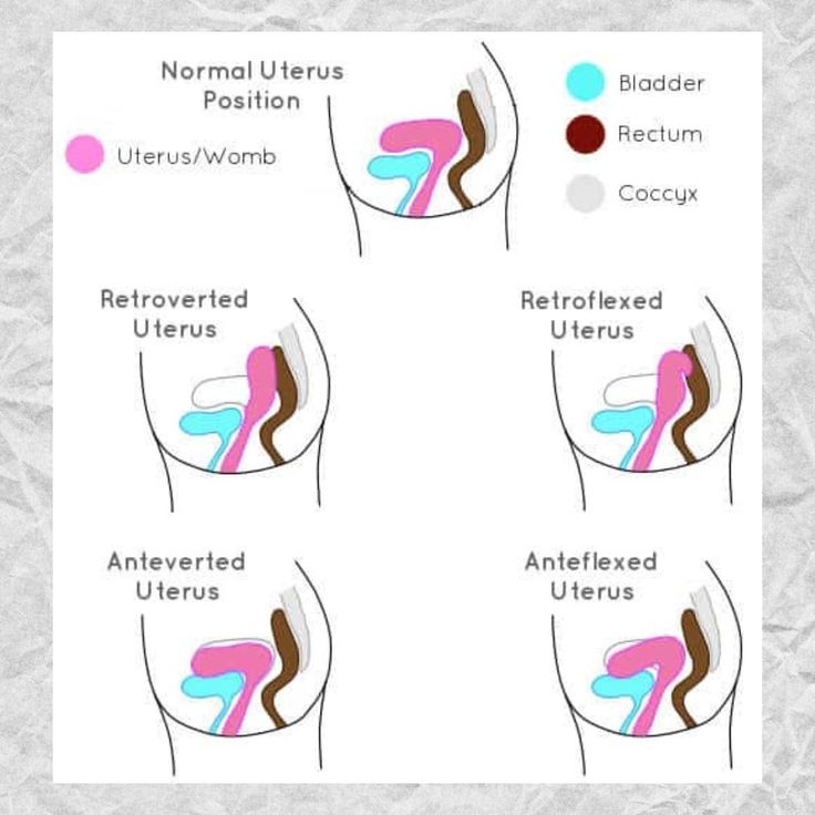 the different types of utensils are shown in this diagram, and there is no image to describe